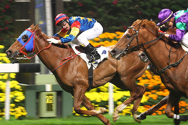 hướng dẫn cá cược đua ngựa online