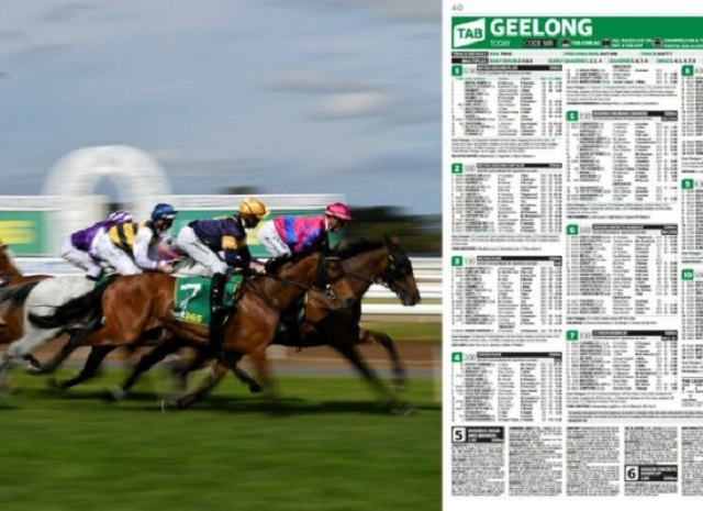 Khi cá cược đua ngựa cần chú ý đến ngựa, nài ngựa và phong độ gần đây