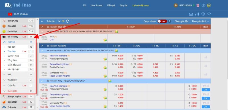 6 kèo cá cược ice hockey tại thabet