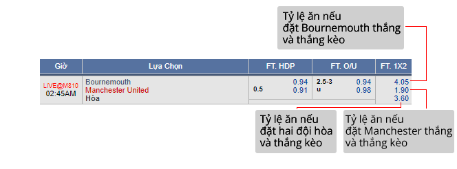 Kèo bóng đá châu Âu