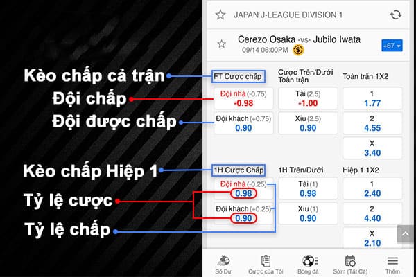 Các loại kèo cược trong cá độ bóng đá