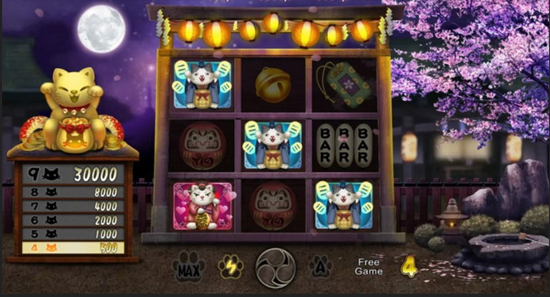 cách chơi mèo may mắn 3d thabet88