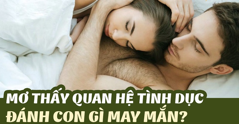 Thabet88 dự báo điềm báo giấc mơ quan hệ tình dục