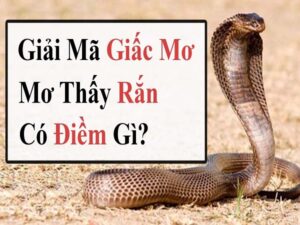 Thabet88 và giấc mơ thấy rắn
