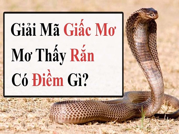Thabet88 và giấc mơ thấy rắn
