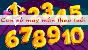 Con số may mắn hôm nay theo tuổi