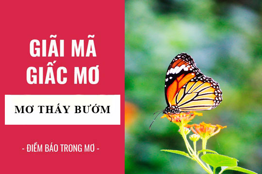 Thabet88 giải mã giấc mơ thấy bướm