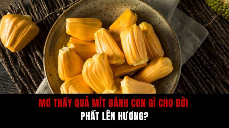 Mơ thấy quả mít báo hiệu điềm hung hay cát? | Sổ mơ Thabet88