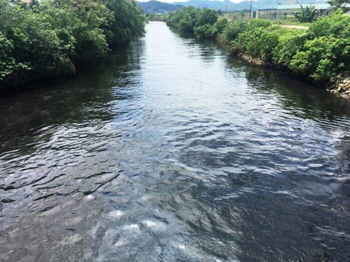 Mơ thấy sông nước đen