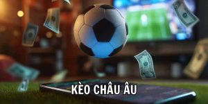 Soi kèo châu Âu chuẩn xác với Net88